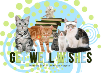 Get Well from a Litter of Cats Cute Doctor and Nurse Felines