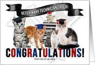 From Group Congratulations Veterarinary Technician Graduate Cats card
