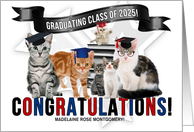 Graduating Cats...