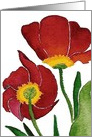 Tulip Duet Blank card