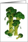 Watercolor painting illustration of Fresh Broccoli Spears Blank card