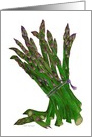 Watercolor Painting of Asparagus Spears Blank card