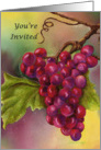 Watercolor Painting of Red Grapes on a Wine Tasting Invitation card