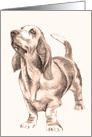 Graphite Drawing of a Loyal Basset Hound Blank card