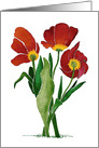 Watercolor Painting of Three Red Tulips in retro style on a Blank card