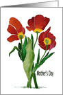 Watercolor painting of three tulips on a Mother’s Day card