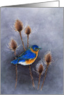 Watercolor painting of a Bluebird Perched Among the Thistles card