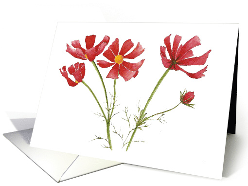 Vibrant Magenta Cosmos Flowers Blank card (423223)