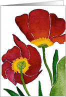 Tulip Duet Blank card