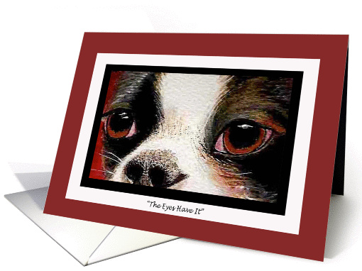 Watercolor painting of a Boston Terrier's Eyes for a Birthday card