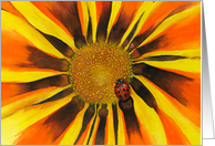 Watercolor painting of a Lady Bug basking on a Sunflower blank card