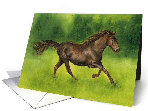 Missouri Fox Trotter Horse, Blank card (930016)