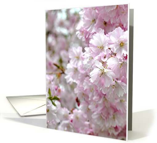happy spring card (418982)