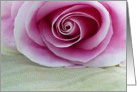 Pink rose card