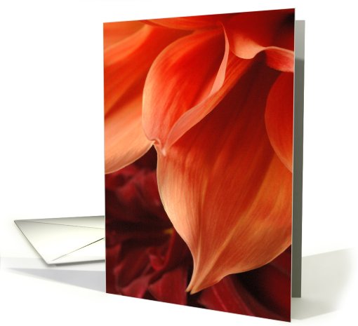 Orange dahlia card (422456)