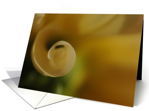 Yellow dahlia card (422459)