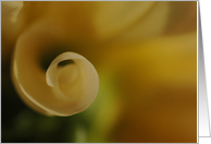 Yellow dahlia card
