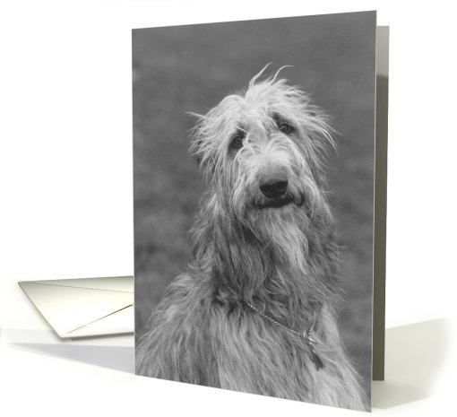 Wolfhound card (423454)