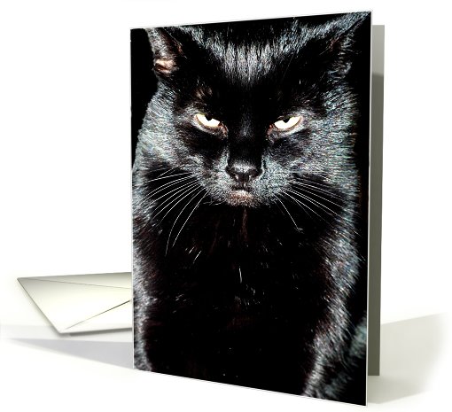 Boo card (425906)