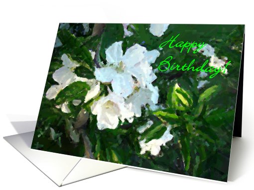 Birthday, anyone card (429240)