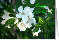 Birthday, anyone card