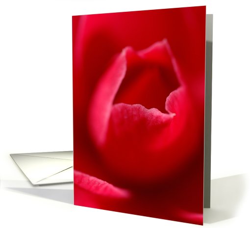 Camelia card (429519)