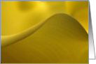 Yellow lily card