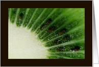 kiwi card