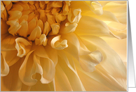 yellow dahlia card