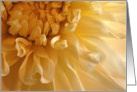 yellow dahlia card