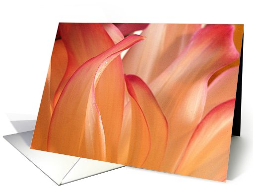 dahlia card (435070)