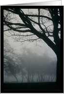 Tree card
