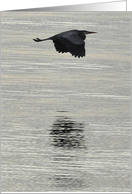 Heron card