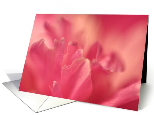 Peony card (435783)
