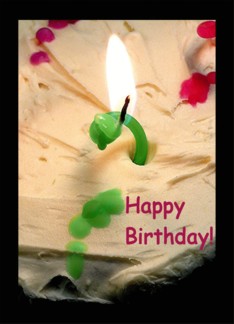 Birthday candle