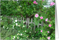 Garden card