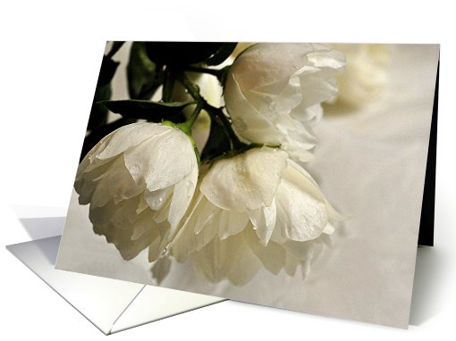 Blossoms trio card (445695)