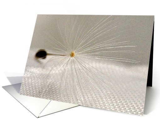 One in a million card (445700)