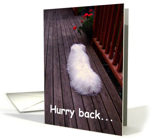 Hurry back card (452713)