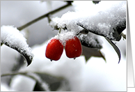 Jingle Berries card