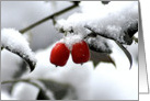 Jingle Berries card