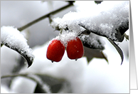Jingle bells card