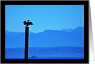 Blue bird card