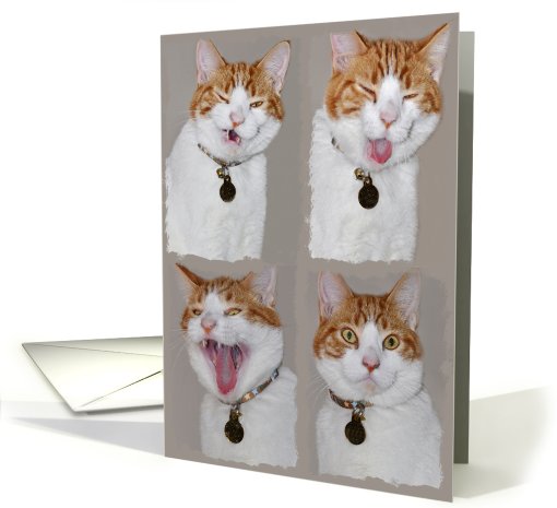 Kitty sneeze card (572042)