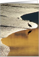 Heron card