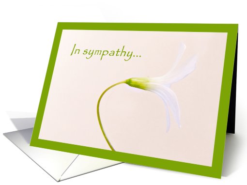 In sympathy card (626968)