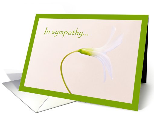 In sympathy card (626968)