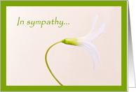 In sympathy card