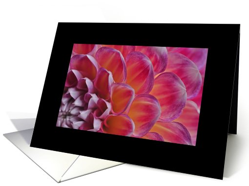 Dahlia card (696598)