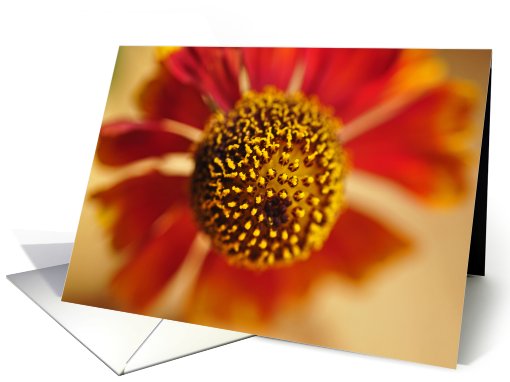 Dahlia card (699779)